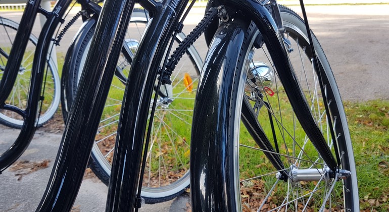 Närbild på cyklar i rad