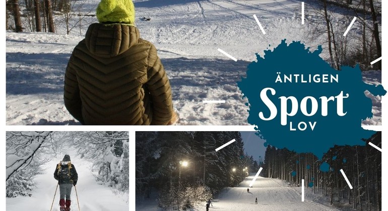 Collage med vinteraktiviteter som pulkaåkning och skidor