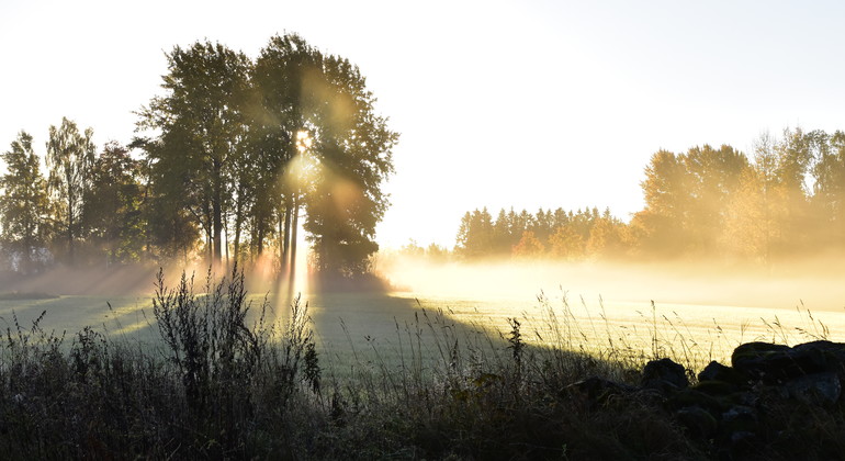 Vinnare fototävling Hagen