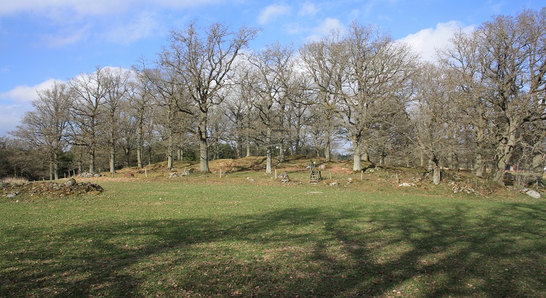 Jällby fornstig, Jällby största gravfält 