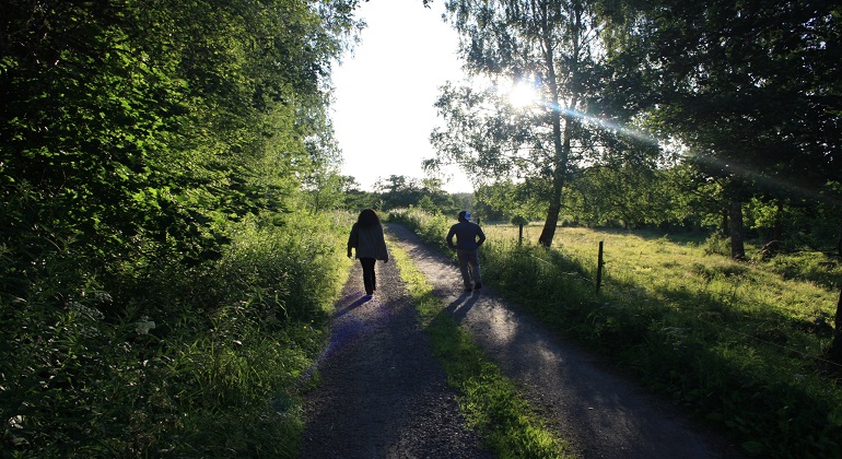 Vandring grusväg, två personer som syns i siluett mot solen.