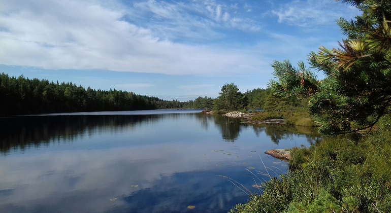 Sju sjöars led. Vy över Härskarsjön en sommardag, solig dag med blå himmel