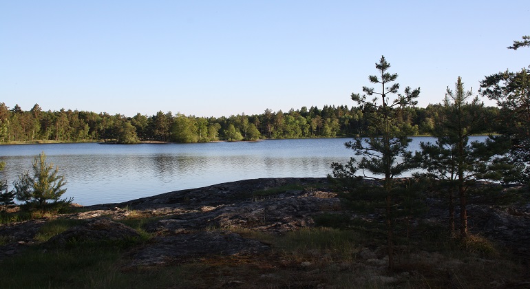 Fotot visar vy över jämnesjön med någon mindre tall vid sidan av bilden.