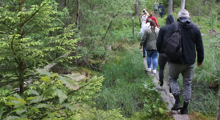 Fotot visar vandrare som går över en spång ensommardag, man ser ryggarna på personerna.