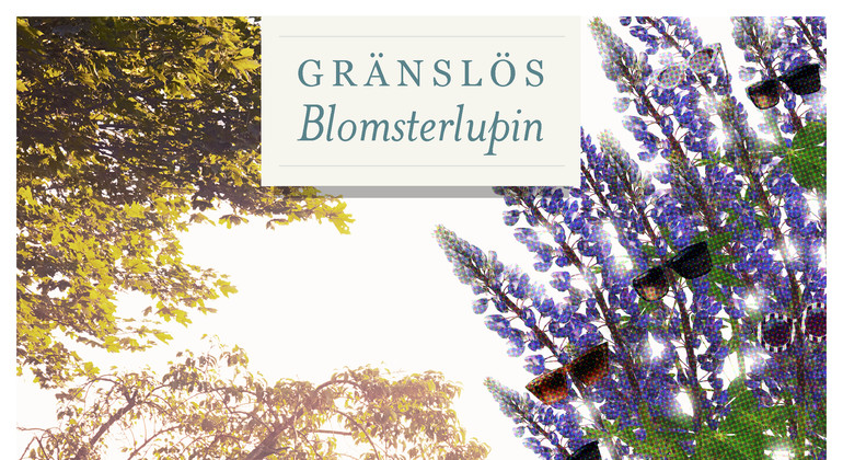 Blomsterlupin