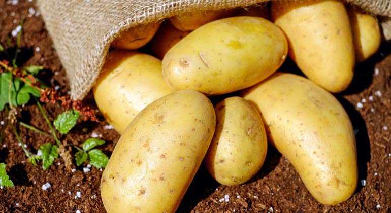 Potatis i en säck