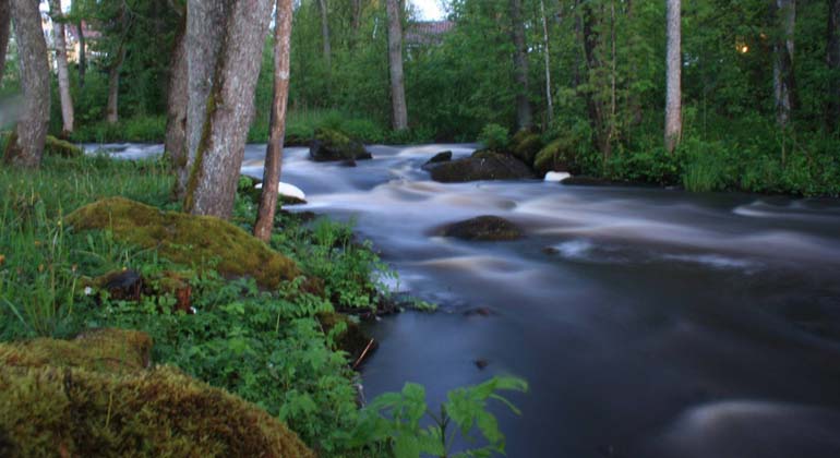 Fotot visar ån Nossan, strax nedanför fallet i Hudene. Fotograf: Herrljunga kommun.