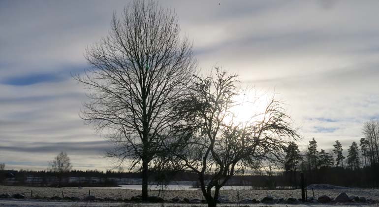 Felanmälan utemiljö