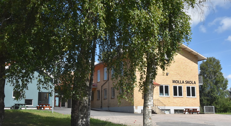 Molla skola