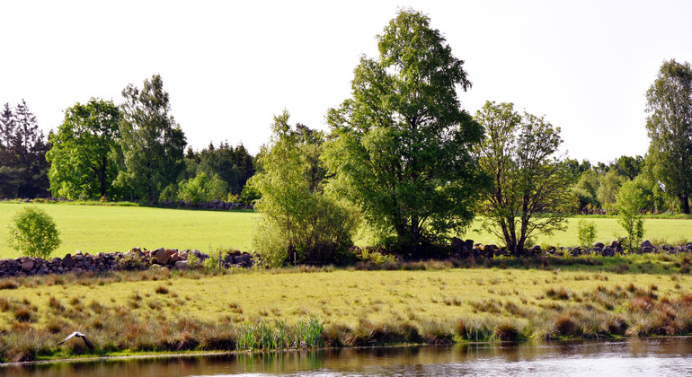 Felanmälan utemiljö