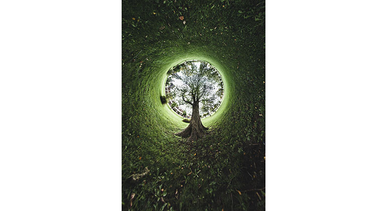 Robert Hellströms bild som är en tolkning av
livets träd.