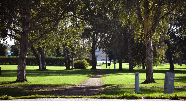 Stadspark