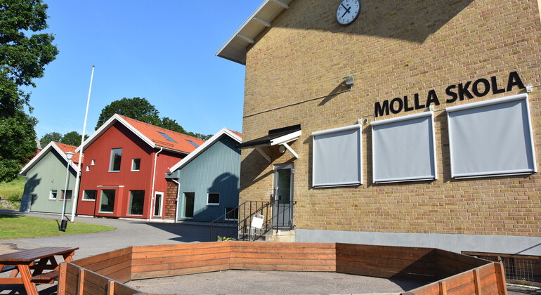 Molla skola