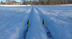 Foto: Birgitta Saunders