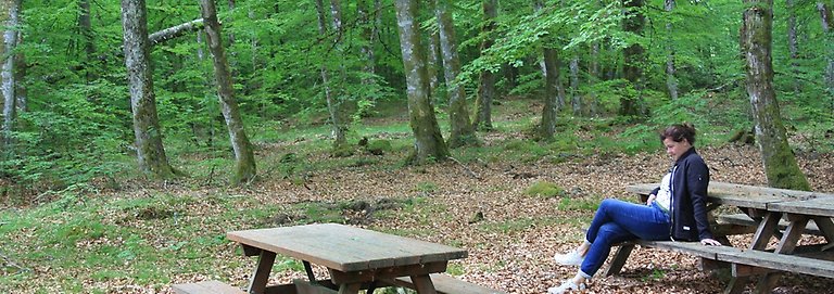 Foto visar kvinna som sitter vid ett picnicbord i Stora Mollungens bokskog. Träden är gröna och vissnade löv ligger på marken., Foto: Birgitta Saunders.